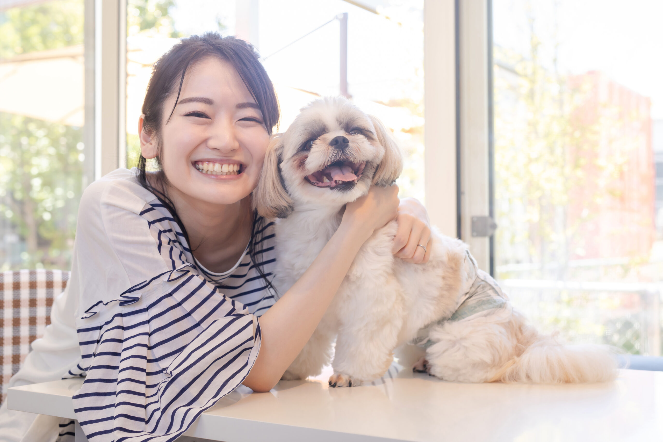 元気な犬